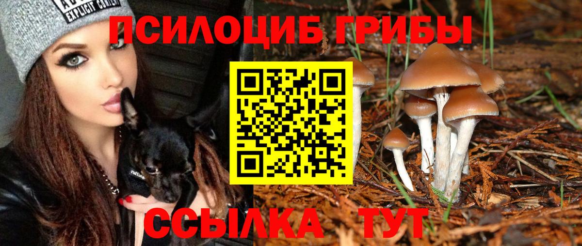 купить наркотик  Галлюциногенные грибы Magic Shrooms  Семёнов  Вход с VPN  Галлюциногенные грибы мухоморы 